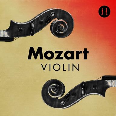 Violin Concerto No. 3 in G Major, K. 216: II. Adagio