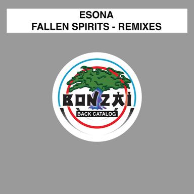 Fallen Spirits - The For My Angel Mix