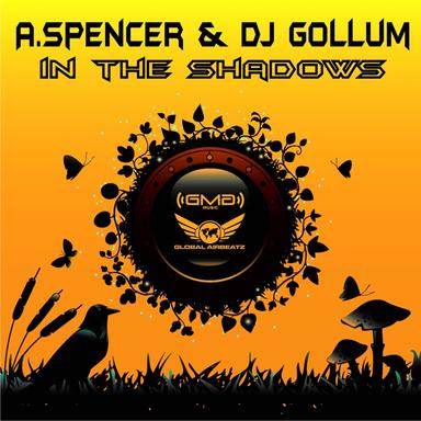 In the Shadows - Rockstroh Radio Edit