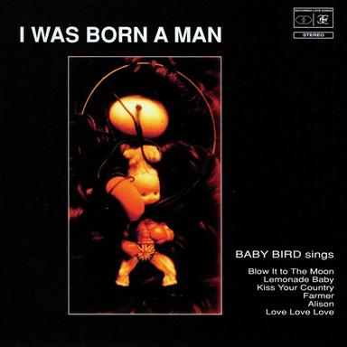 Baby Bird